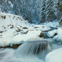 Torrente Cordevole nel gelo