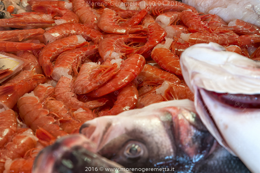 Chioggia - Prodotti ittici esposti al mercato del pesce al minuto