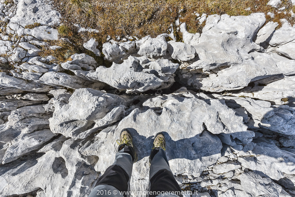 Incredibile varietà di forme sulle rocce | Marmarole