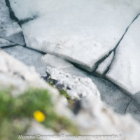 Lago del Coldai (Civetta) dettagli nel ghiaccio