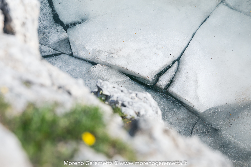 Lago del Coldai (Civetta) dettagli nel ghiaccio