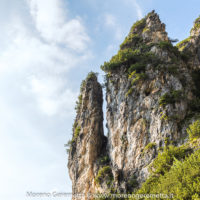 Fragili dettagli - sentiero Rù de Porta - Civetta - Dolomiti