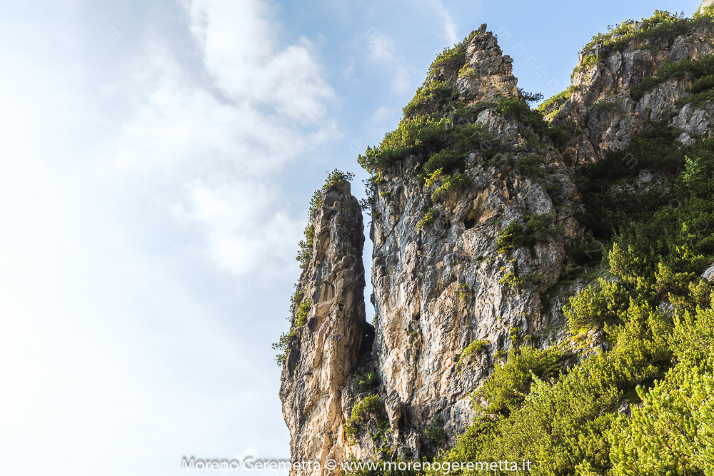 Fragili dettagli - sentiero Rù de Porta - Civetta - Dolomiti